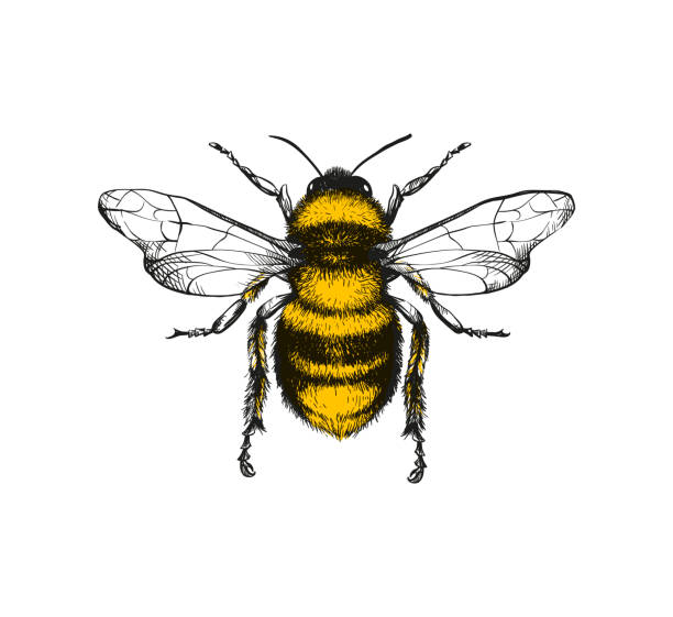 istockphoto-888100500-612x612