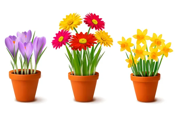depositphotos_9856556-stock-illustration-spring-colorful-flowers-in-pots